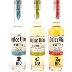 Dulce Vida Tequila Blanco 50% 0,7 l (holá láhev) – Zboží Dáma
