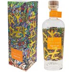 Raspenava Meruňkovice 48% 0,5 l (holá láhev) – Zboží Dáma