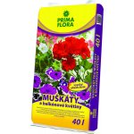 Agro CS Primaflora Substrát pro muškáty (pelargonie) 40 l – Zboží Mobilmania