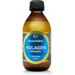 Zdravý Svet Lipozomální hydrolyzovaný kolagen komplex 250 ml – Hledejceny.cz