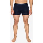 Icebreaker Mens Anatomica Boxers Midnight Navy – Hledejceny.cz
