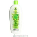 Luna bylinný šampon březový 430 ml – Zboží Dáma
