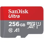 Sandisk SDXC UHS-I U1 256 GB SDSQUNR-256G-GN6TA – Zbozi.Blesk.cz