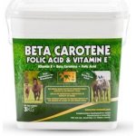 TRM Beta Carotene Folic Acid&Vitamin E 3 kg – Hledejceny.cz