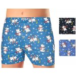 Andrie pánské bavlněné trenýrky PS5599 2Pack – Zboží Dáma