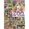 Deny Pexeso ZOO