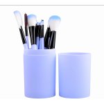 Pronett XJ4416 Sada kosmetických štětců 12 ks světle modré – Zboží Dáma