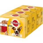 Pedigree Vital Protection v aspiku mix 48 x 100 g – Zboží Mobilmania