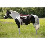 Norton Randol´s pad hnědo-béžový – Zboží Dáma