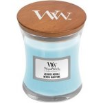 WoodWick Seaside Neroli 609,5 g – Hledejceny.cz