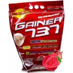Megabol Gainer 737 3000 g – Zbozi.Blesk.cz