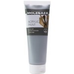 Molenaer akrylová barva 250 ml zlatá – Hledejceny.cz