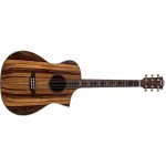 Bromo Guitars BAR4GCE – Zboží Mobilmania