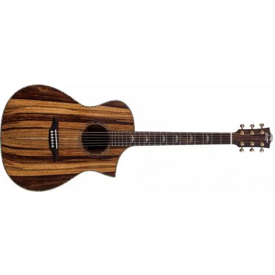 Bromo Guitars BAR4GCE – Zboží Mobilmania