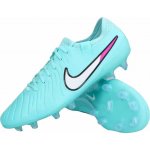 Nike LEGEND 10 ELITE FG dv4328-401 – Hledejceny.cz