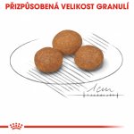 Royal Canin X Small Adult 8+ 0,5 kg – Hledejceny.cz