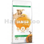 Iams Dog Adult Large Lamb 12 kg – Hledejceny.cz