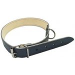 Sedlářství Doležel Obojek na psa kožený maxi – Zboží Dáma