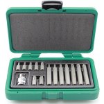 Sada bitů na 1/2 TRX T20 - T55 Honiton 15 ks – Zboží Dáma