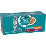 Purina ONE Adult s jehněčím mořskými rybami kuřetem hovězím ve šťávě 40 x 85 g – Zbozi.Blesk.cz