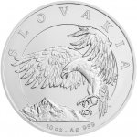 Česká mincovna Stříbrná mince Orel 2024 stand 311 g – Zboží Dáma