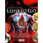 Lidské tělo - Ilustrovaný atlas – Hledejceny.cz