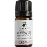Odylique Esenciální Rozmarýn 5 ml – Hledejceny.cz