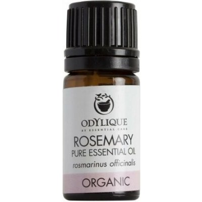 Odylique Esenciální Rozmarýn 5 ml – Hledejceny.cz