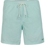 O'Neill PM Vert Shorts pánské šortky do vody – Sleviste.cz