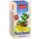 Apotheke Na povzbuzení s kotvičníkem 20 x 2 g