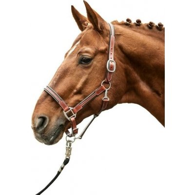 HKM Kožená ohlávka Soft brown – Zboží Dáma