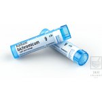 KALIUM BICHROMICUM POR 9CH GRA 4G – Hledejceny.cz