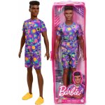 Barbie Model Ken 162 S afro účesem – Hledejceny.cz