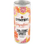 Dynybyl Gin Originál a Tonic 6% 0,25 l (plech) – Hledejceny.cz