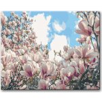 Zuty Malování podle čísel KVETOUCÍ MAGNÓLIE – Zbozi.Blesk.cz