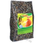 Avicentra Classic Kanár 1 kg – Zboží Dáma