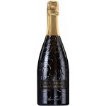 Col Sandago Prosecco Spumante Extra Dry Treviso DOC 11,5% 0,75 l (holá láhev) – Zboží Dáma