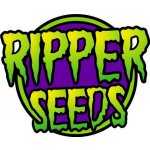 Ripper Seeds Criminal+ semena neobsahují THC 1 ks – Zboží Dáma