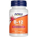 Now Foods Foods Methyl B-12 1000mcg 100 pastilek – Hledejceny.cz