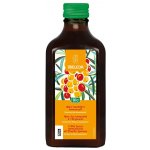 Weleda BIO Rakytníková šťáva šťáva pro podporu imunitního systému 250 ml – Hledejceny.cz
