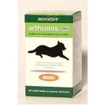 Rosen Pharma Arthronis fáze 2 Mini 60 tbl – Hledejceny.cz