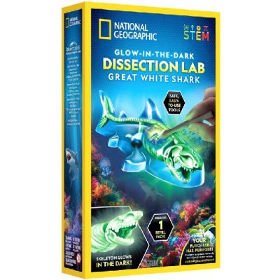National Geographic Glow-in-the-dark Great White Shark Disse – Hledejceny.cz