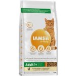 Iams for Vitality Adult Cat Fresh Chicken 10 kg – Hledejceny.cz
