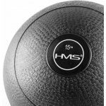 HMS Slam ball 15 kg – Zboží Dáma