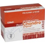 Pragomed ProfiChondro Original Efekt tablet 2 x 90 – Hledejceny.cz