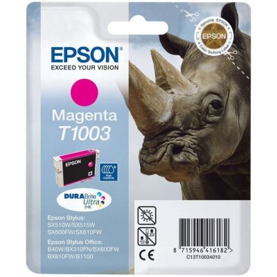 Epson C13T100340 - originální – Hledejceny.cz