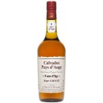 Roger Groult d´Age Calvados 8y 41% 0,7 l (holá láhev) – Zboží Dáma