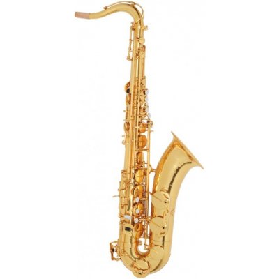 RYU saxophones Ryu RST Academy SET – Zboží Dáma