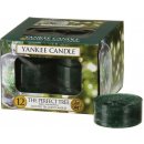 Yankee Candle The Perfect Tree 12 x 9,8 g