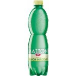 Mattoni bílé hrozny 0,5 l – Hledejceny.cz